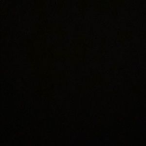 Meet your Posher, Minakshi